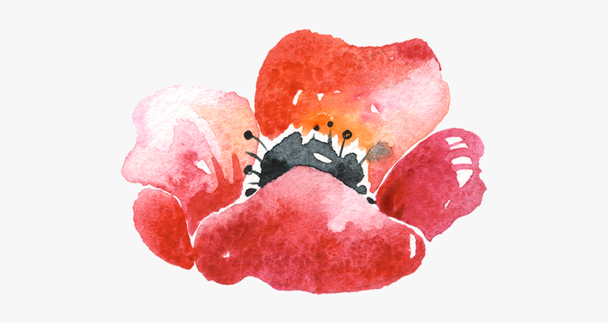 Watercolor Paint, HD Png Download