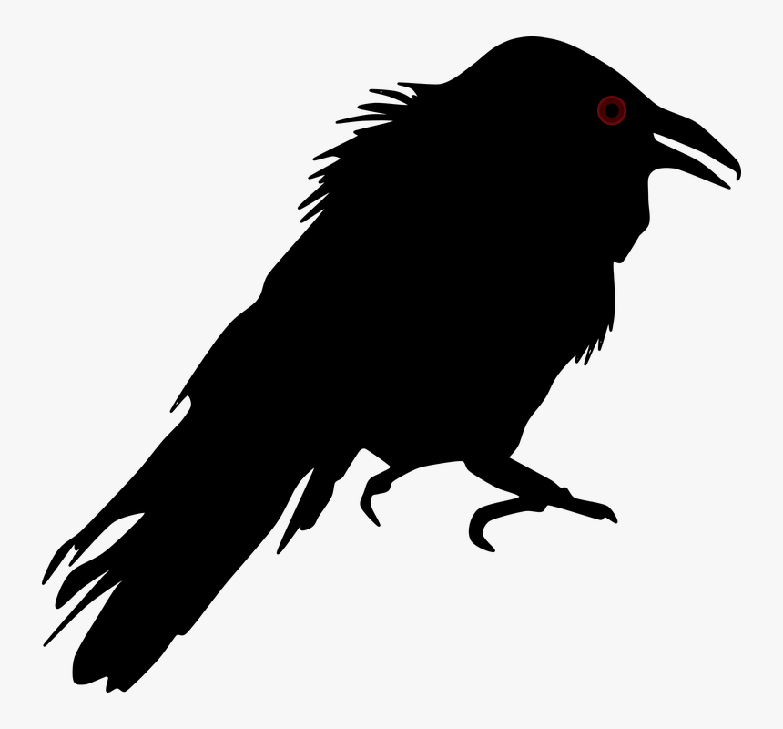 Crow Silhouette Transparent Background, HD Png Download