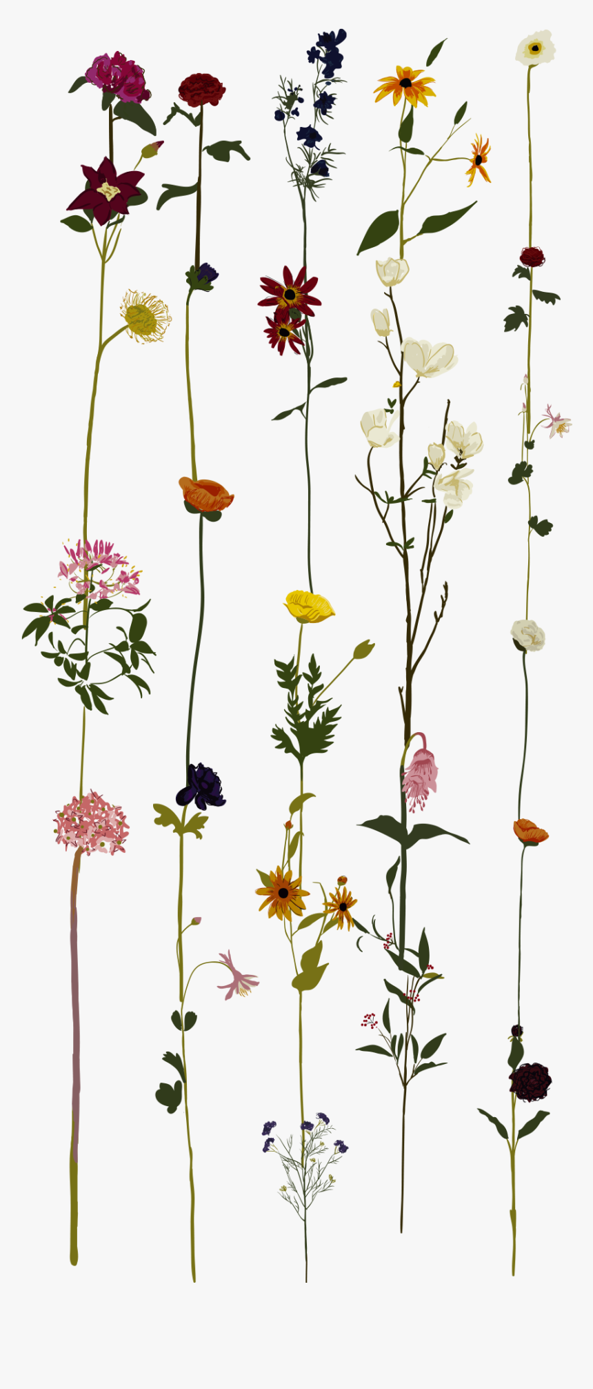 Casetify Floral Case, HD Png Download