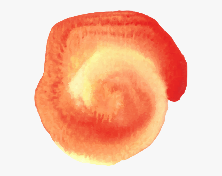 Macro Photography, HD Png Download