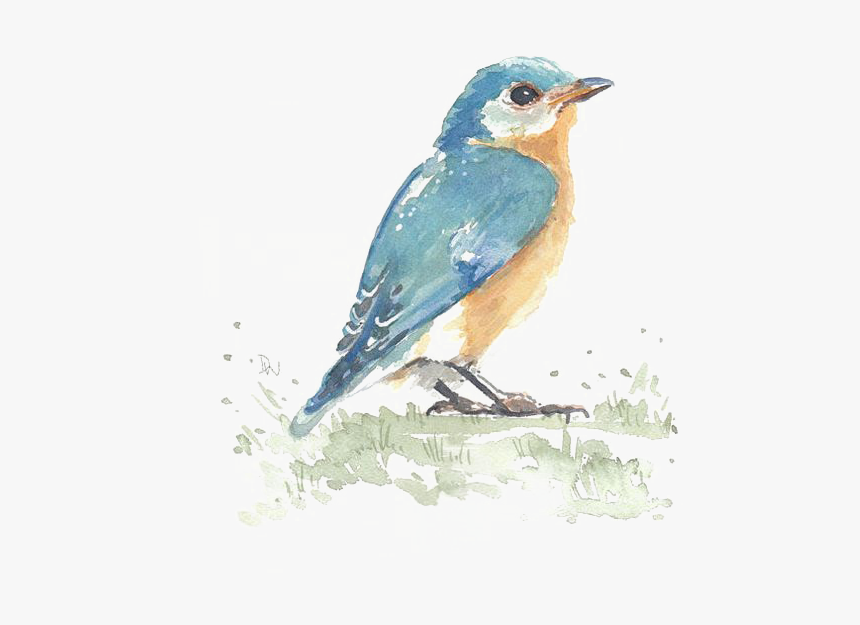 Clip Art Birds Painting Watercolor, HD Png Download
