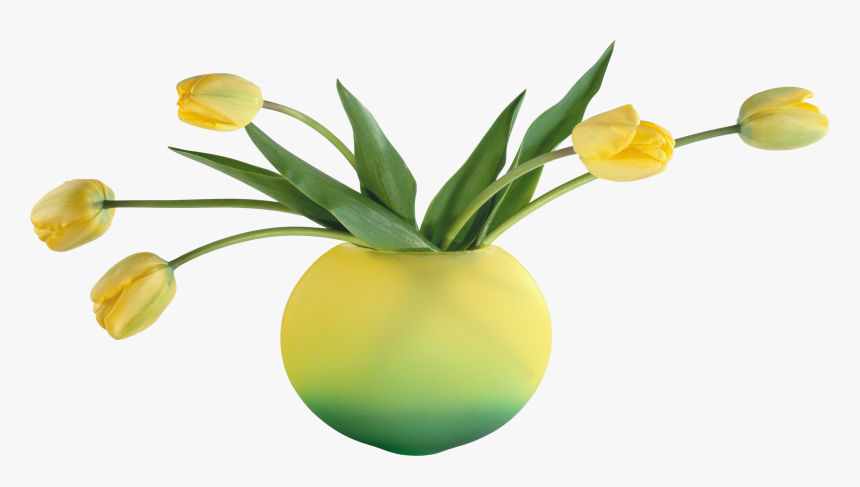Vase - Подснежники, HD Png Download