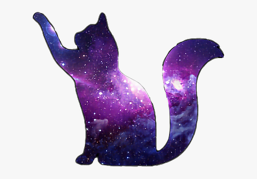 Kitty Galaxy, HD Png Download