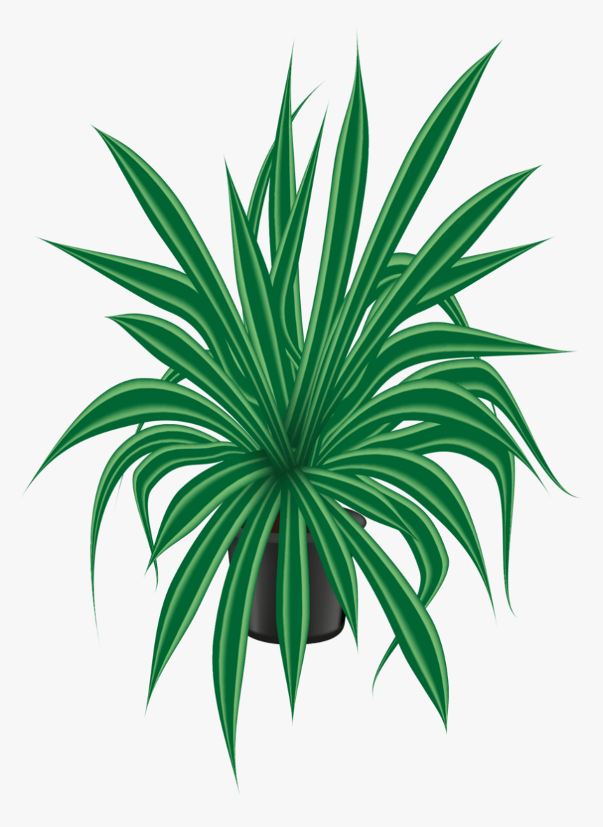 简约手绘卡通可爱线条太阳 - Plantas Clipart, HD Png Download
