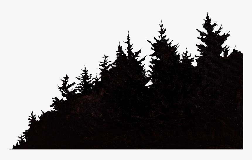 Shortleaf Black Spruce, HD Png Download