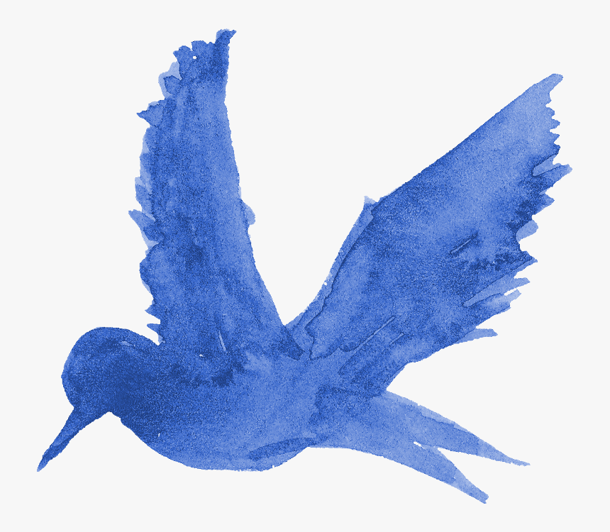 Blue-footed Booby, HD Png Download