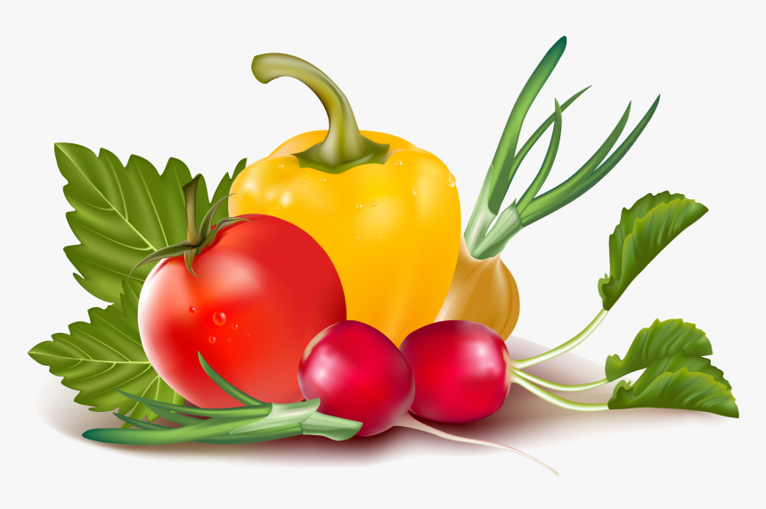 Vector, HD Png Download