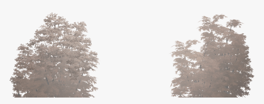 Деревья - Larch, HD Png Download
