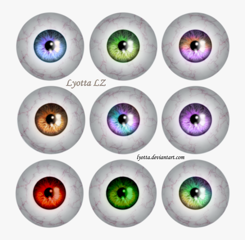 Circle, HD Png Download