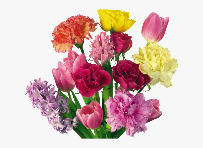 Free Carnation Bouquet Clipart, HD Png Download
