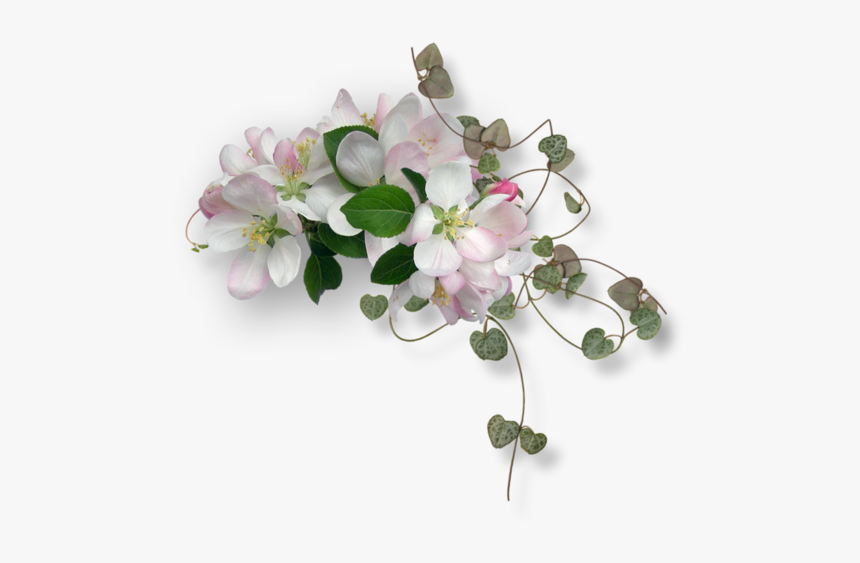 Flower Border, HD Png Download