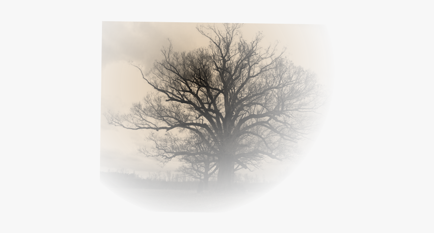 Snow, HD Png Download