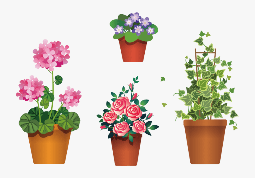 实拍虎皮兰绿植盆栽盆景 - Flowers In Pot Clipart Transparent Background, HD Png Download