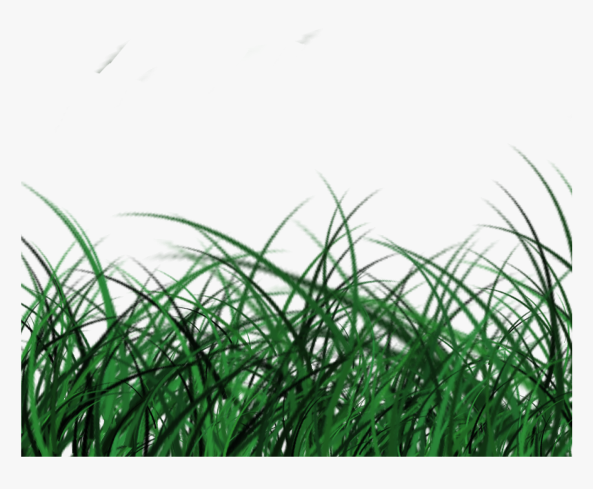 Posted By Jurassic Kart At - Sweet Grass, HD Png Download