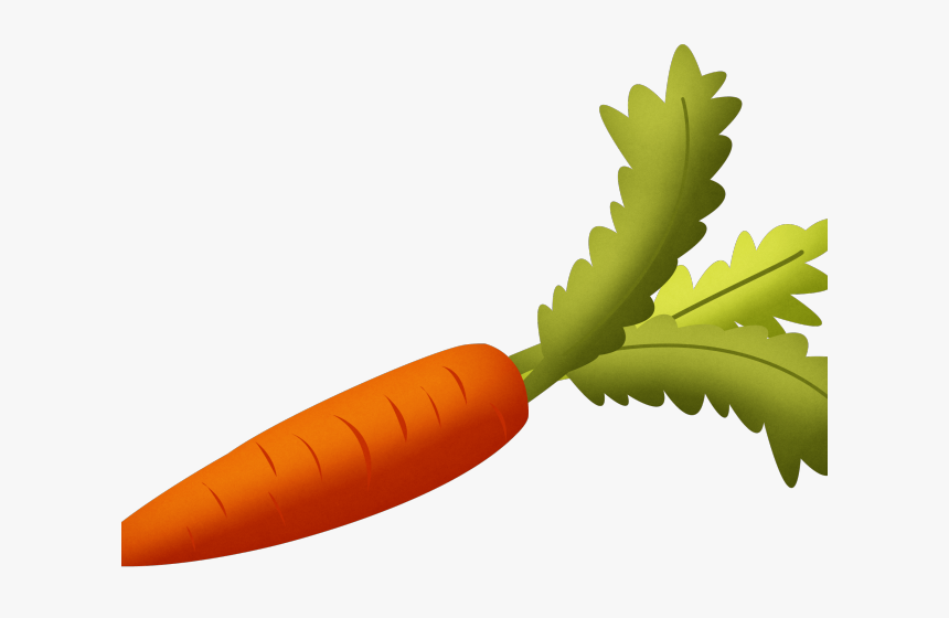 Vegetables Clipart Popular - Transparent Background Carrot Clipart, HD Png Download