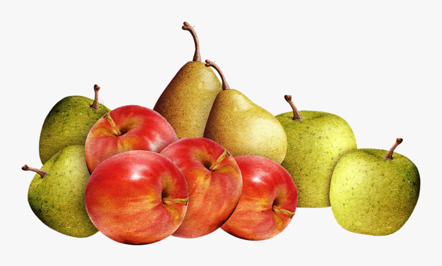 0 770e2 5b8e17a4 Xl - Яблоко Груша Пнг, HD Png Download