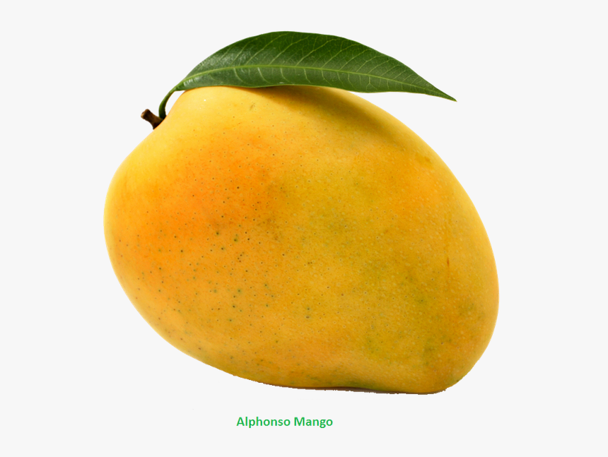 Mango - Mango Png, Transparent Png