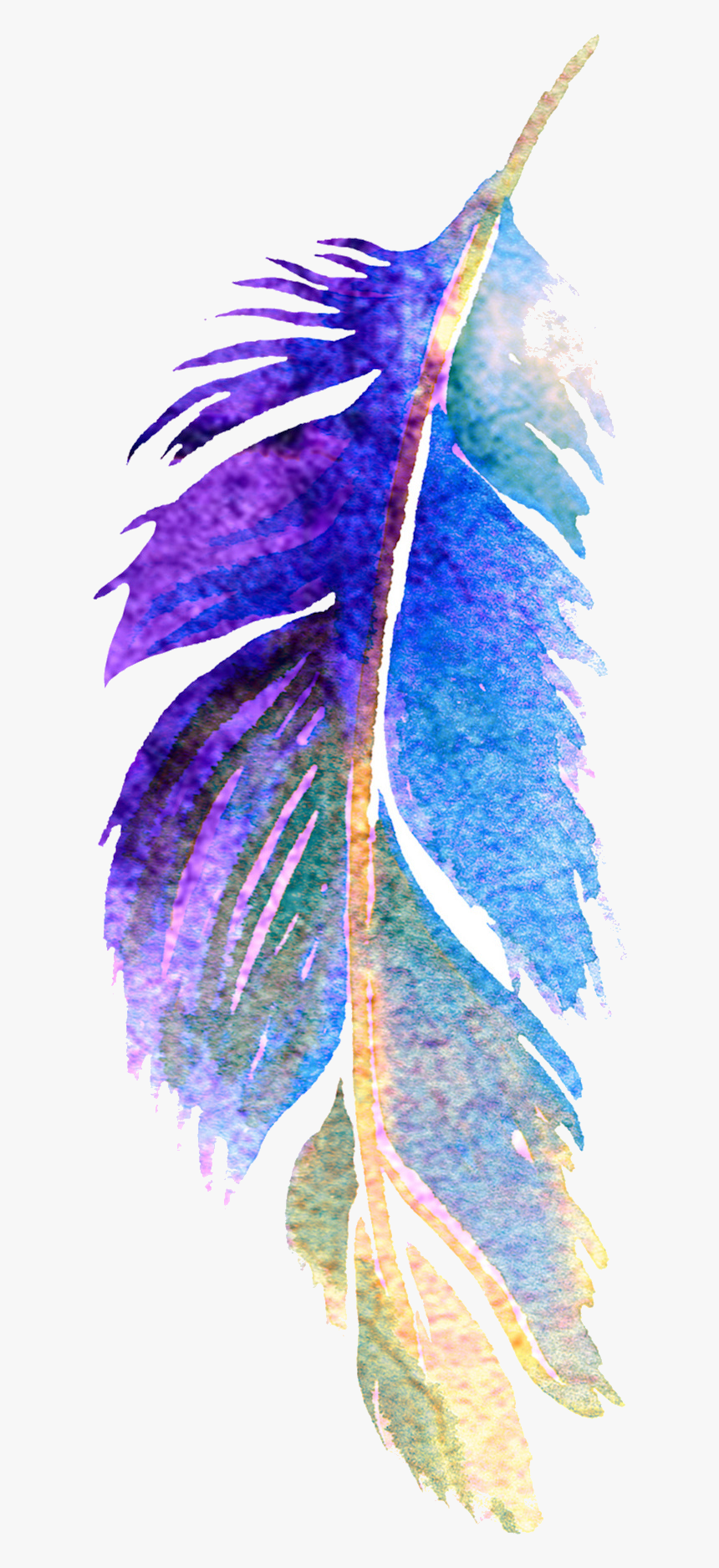 Visual Arts, HD Png Download