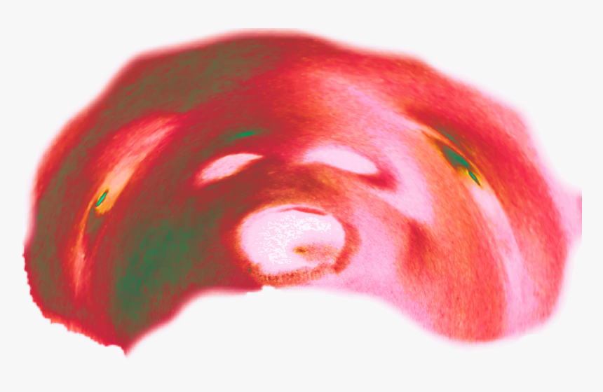 Fruit, HD Png Download