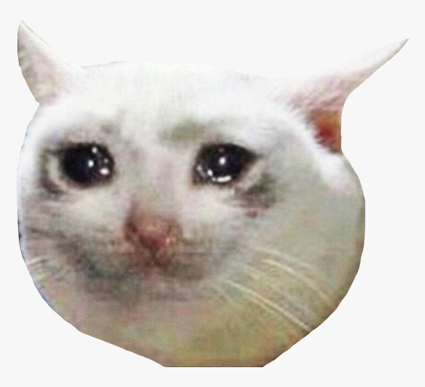 The Crying Cat Face PNG A Comprehensive Guide The Crying Cat Face PNG A Comprehensive Guide