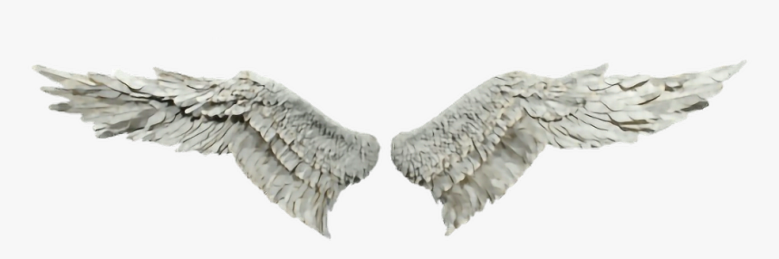 #ceiaxostickers #transparent #overlay #sticker #tumblr - Transparent Heaven Angel Wings, HD Png Download