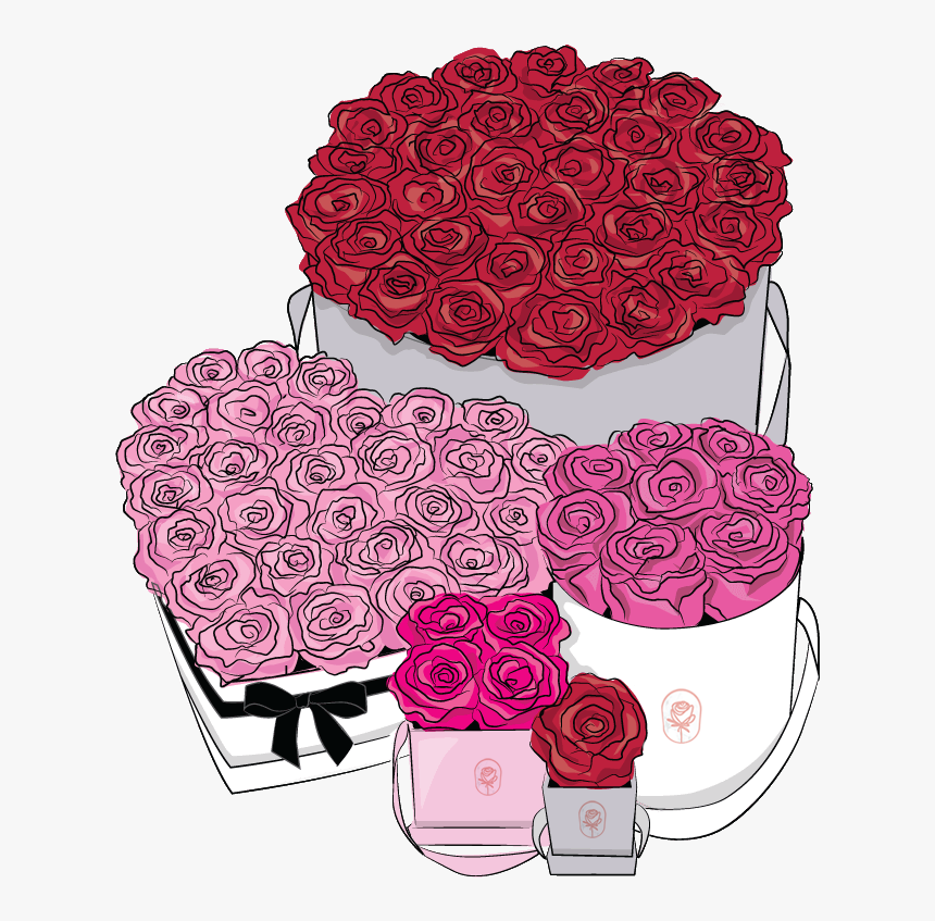 Emmie Gray, HD Png Download