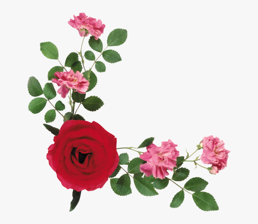 Wreath Frame Png, Transparent Png