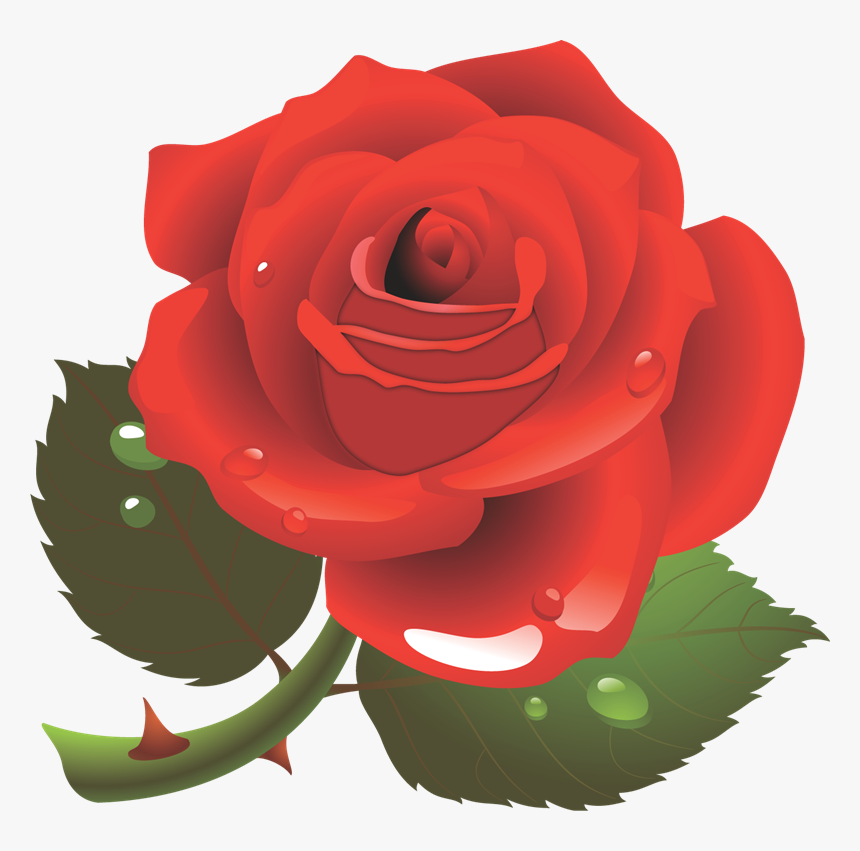 Red Transparent Background Rose Clipart, HD Png Download