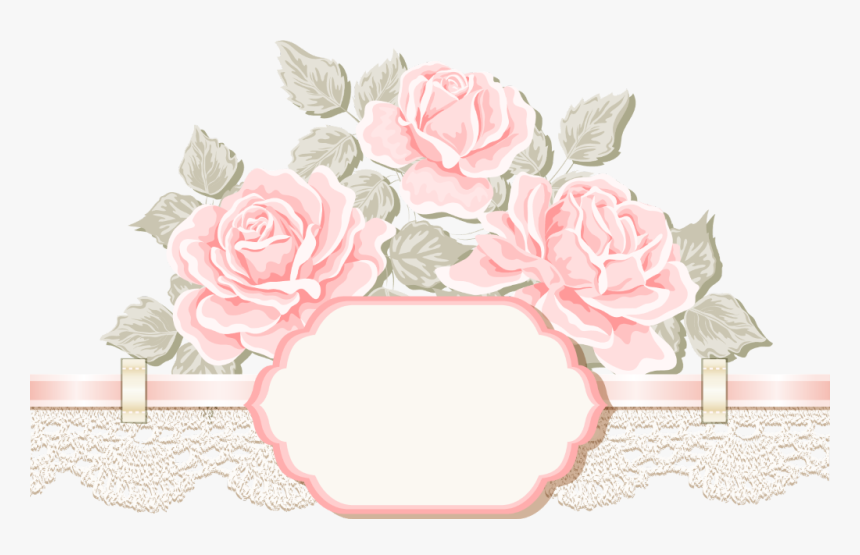 #ftestickers #flowers #roses #lace #banner #divider - Garden Roses, HD Png Download