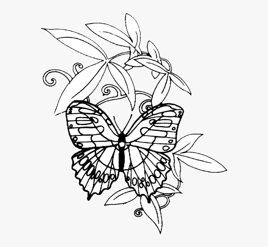 Monarch Butterfly, HD Png Download
