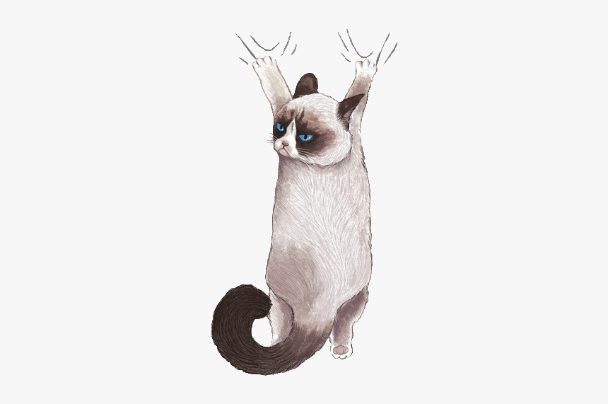 Cats Illustration, HD Png Download