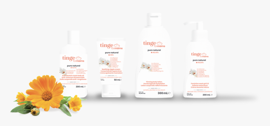 Sunflower, HD Png Download