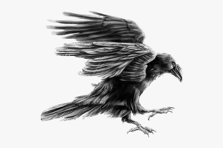 American Crow, HD Png Download