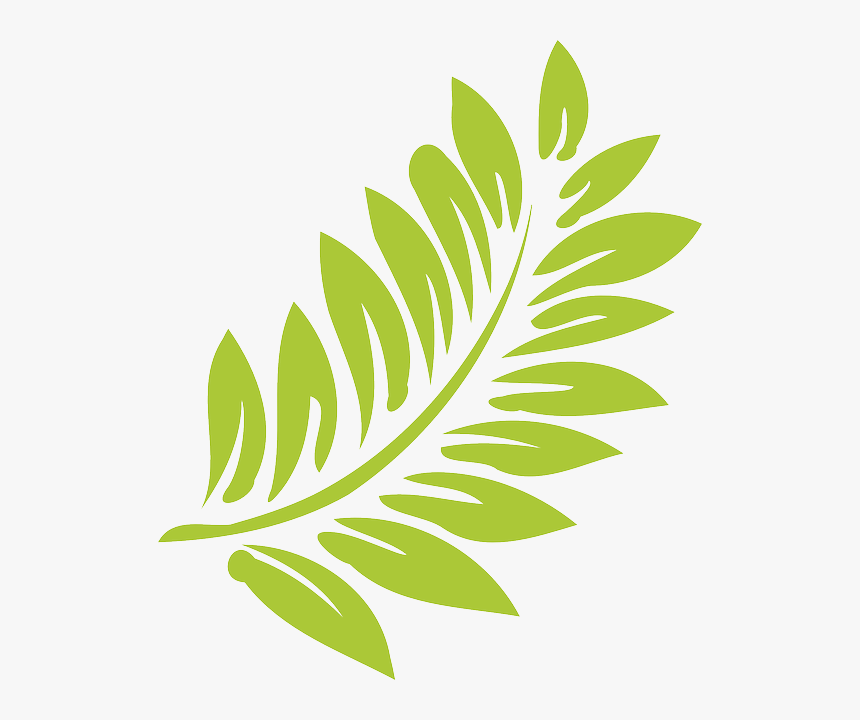 Hawaiian Flower Transparent Background, HD Png Download