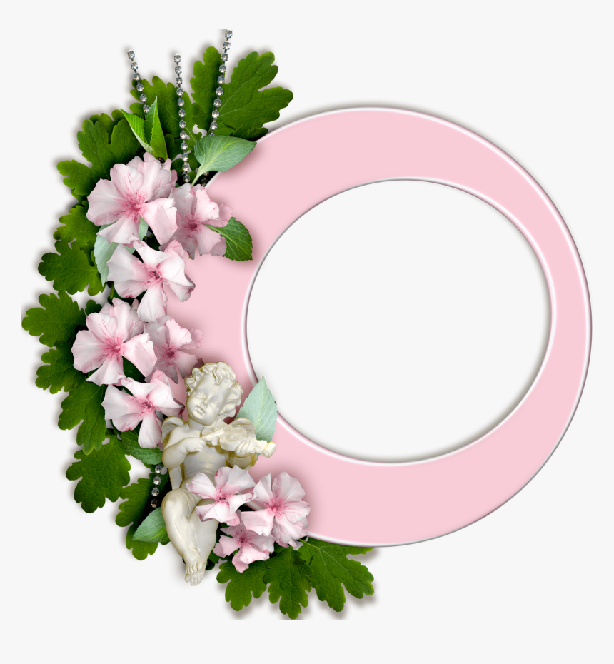 Jasmine, HD Png Download