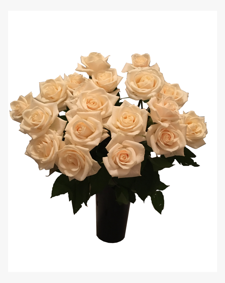 Floribunda, HD Png Download