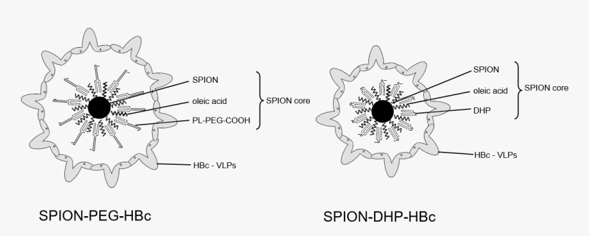 Diagram, HD Png Download