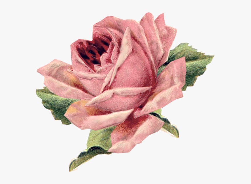 Shabby Chic Throw Pillows, HD Png Download