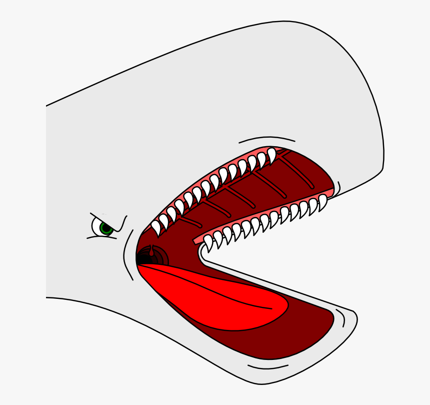 Stereotyped Cartoon Whale Head By Arek-91 On Clipart - Cartoon Whale Head, HD Png Download