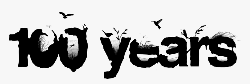 Calligraphy, HD Png Download