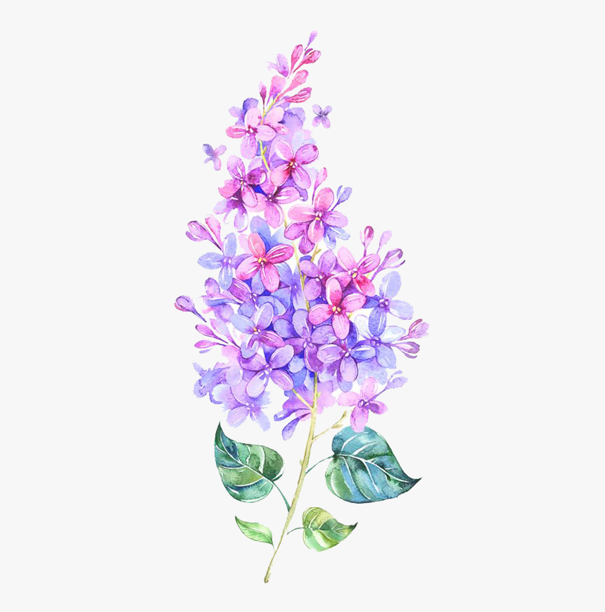 #kpopedits #kpop #kawaii 
#lilac #flower #watercolour - Flower Purple Pink Png, Transparent Png