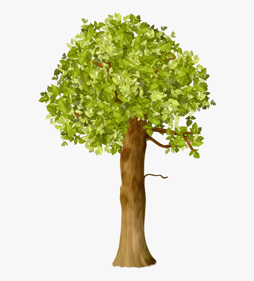 Времена Года Png, Transparent Png