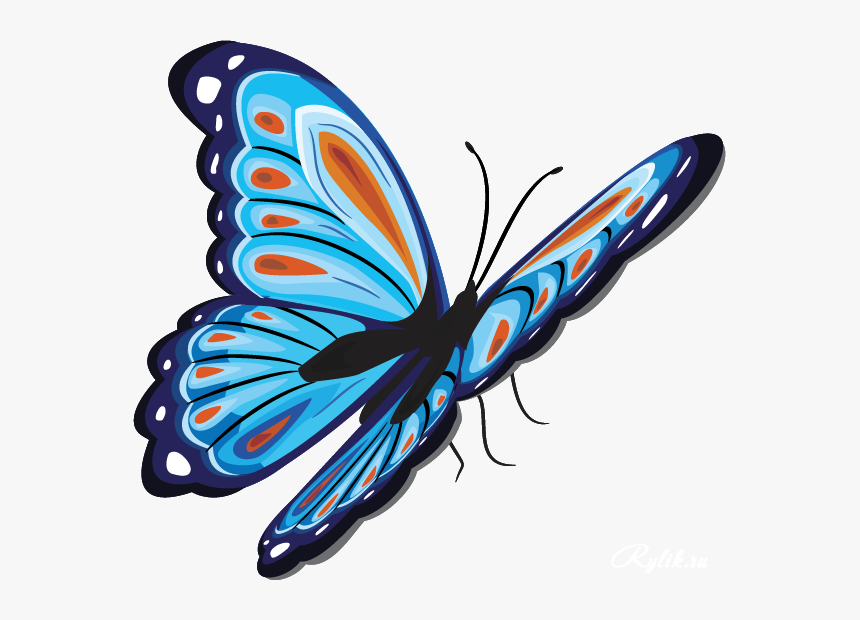 Бабочки Png Клипарт Для Дизайна - Бабочки Png, Transparent Png