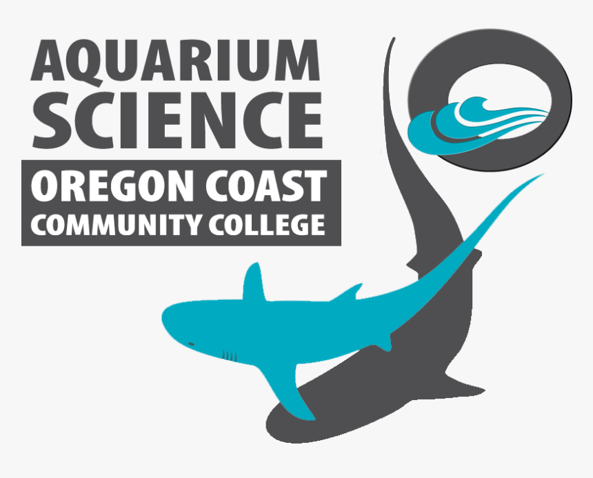Oregon Coast Community College Marine Biology, HD Png Download