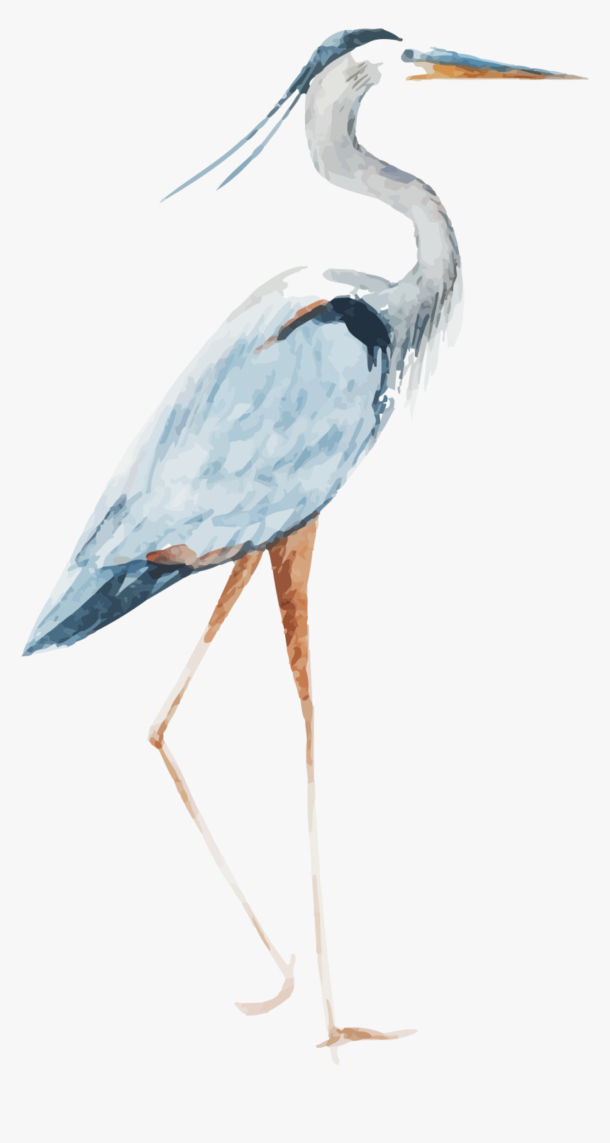 Heron Watercolor - Crane Bird Watercolor Transparent, HD Png Download