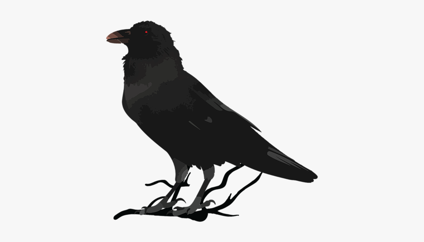 American Crow, HD Png Download