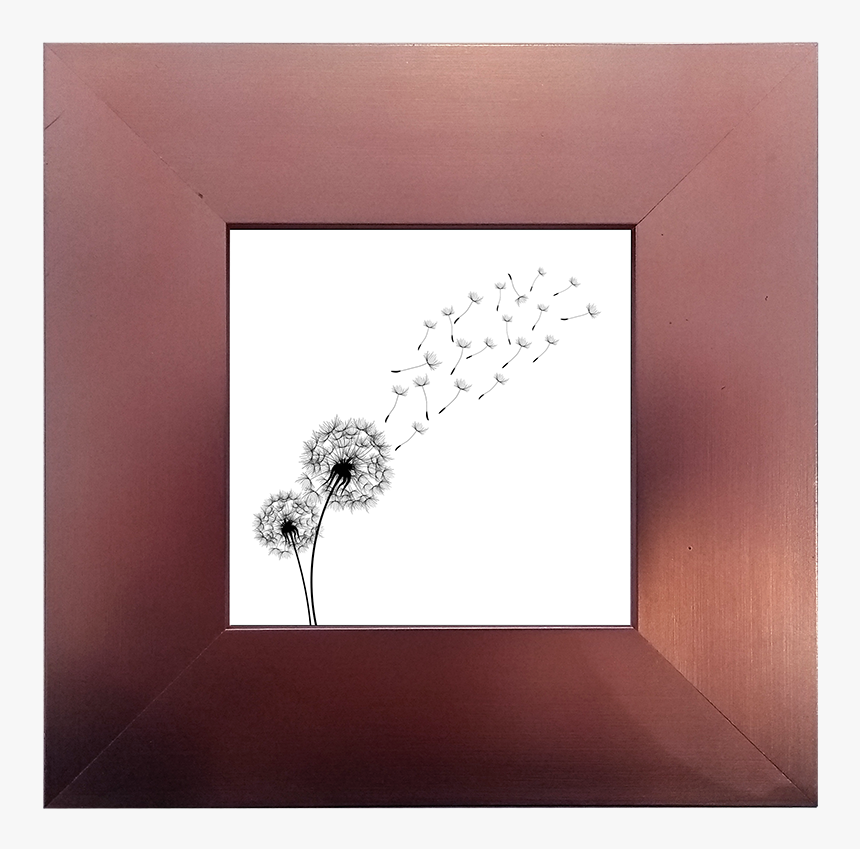 Dandelion, HD Png Download