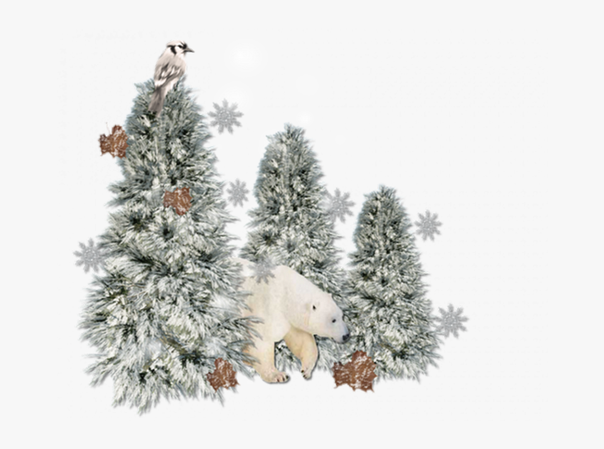 Tinypic, HD Png Download