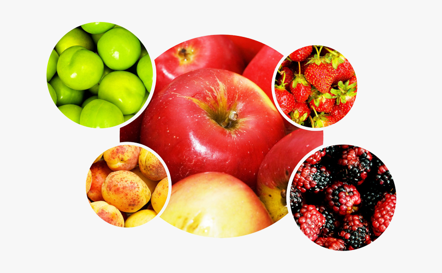 Fruits Et Legumes Png, Transparent Png