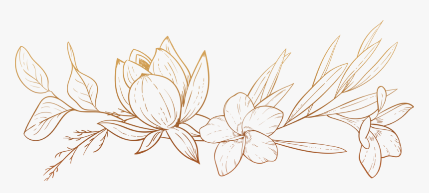 Floralheader, HD Png Download